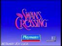 Swancommercial_41.jpg