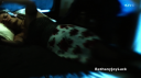 Filename=CSI-15x05_0101.png
Filesize=274KiB
Dimensions=854x480
Date added=Sep 09, 2014 CSI-15x05_0101.png