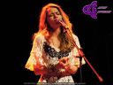 Filename=050.jpg
Filesize=88KiB
Dimensions=792x594
Date added=Dec 31, 2012 050.jpg