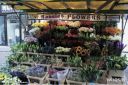 Filename=14aout2011_-_While_living_in_LA_before_One_Tree_Hill_I_used_to_work_as_a_florist__The_sight_of_a_flowershop_storefront_like_this_still_makes_me_sigh__Maybe_I_ll_open_up_shop_someday___.jpg
Filesize=118KiB
Dimensions=800x534
Date added=May 02, 2012 14aout2011_-_While_living_in_LA_before_One_Tree_Hill_I_used_to_work_as_a_florist__The_sight_of_a_flowershop_storefront_like_this_still_makes_me_sigh__Maybe_I_ll_open_up_shop_someday___.jpg